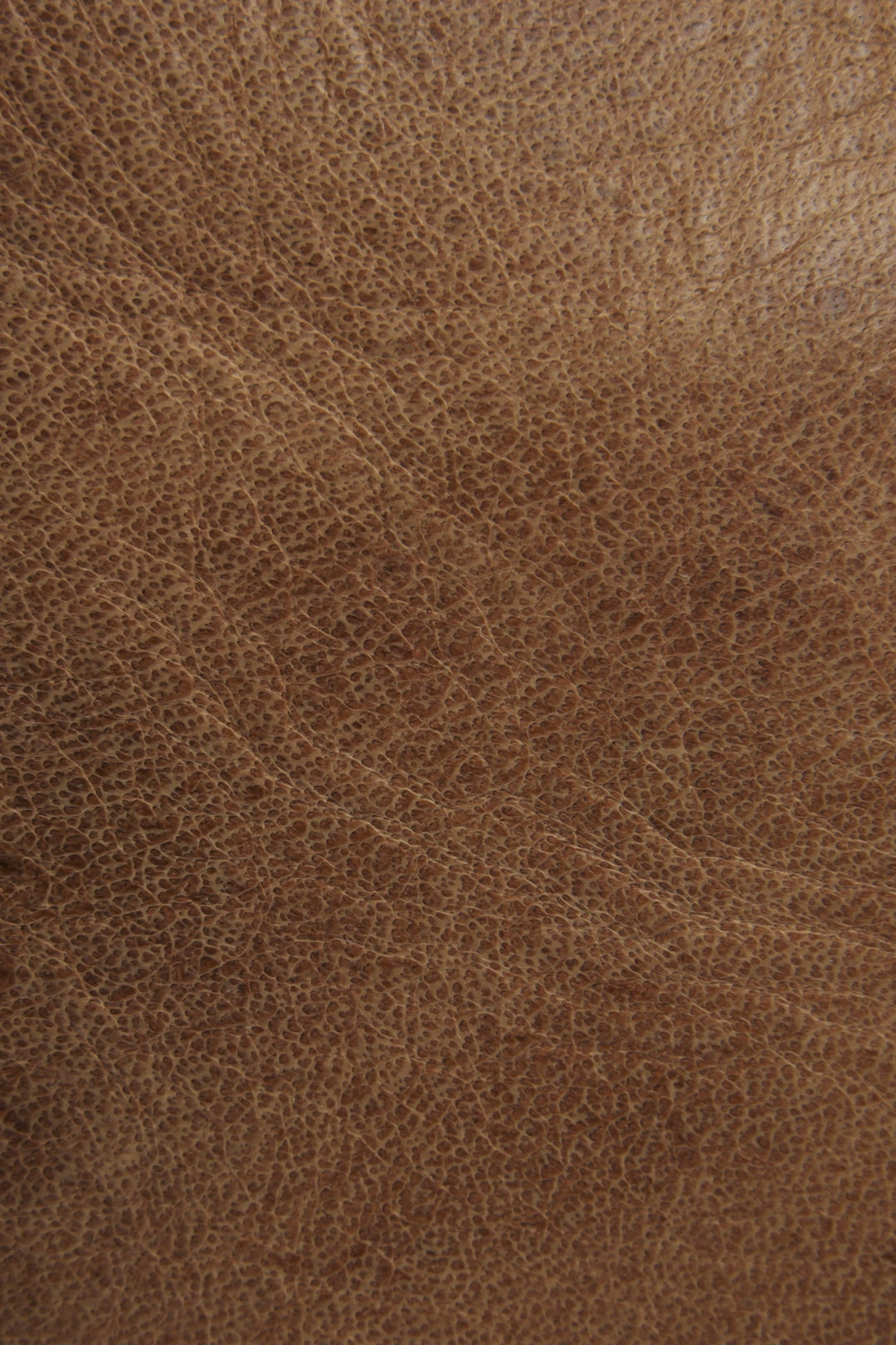 Frye Premium | Melissa Beige Tote