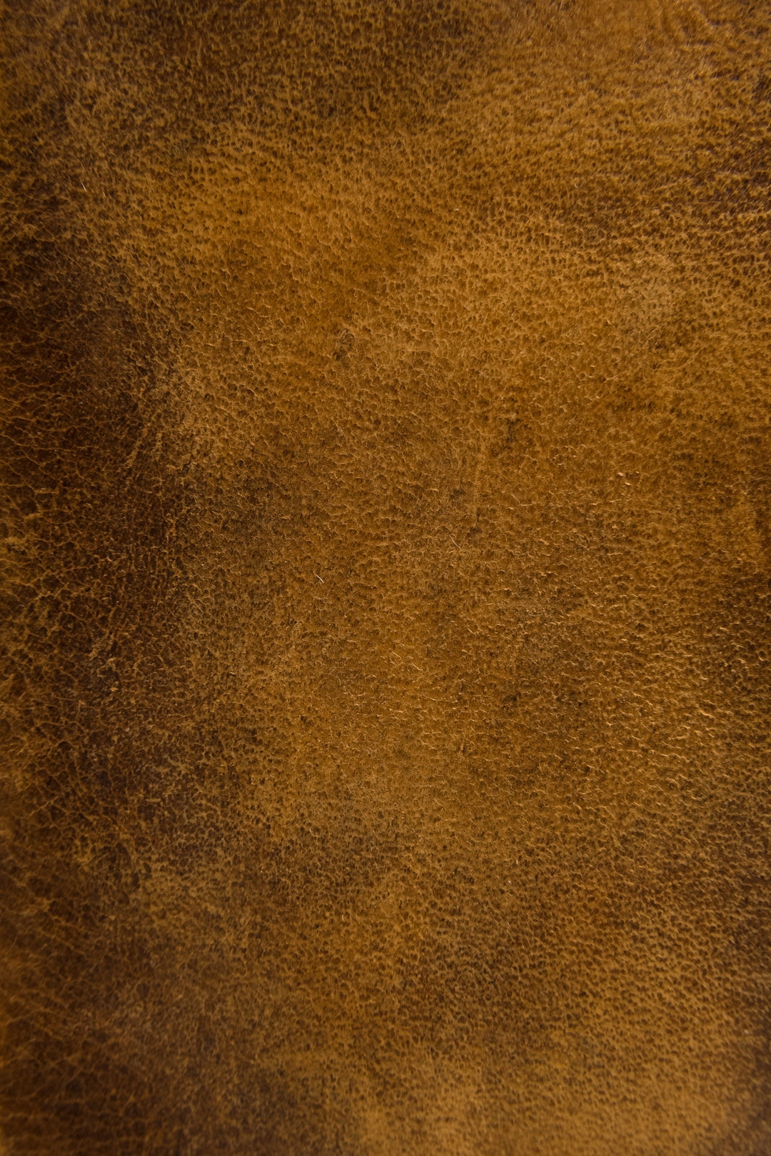 Frye Trusted | Melissa Cognac Wristlet