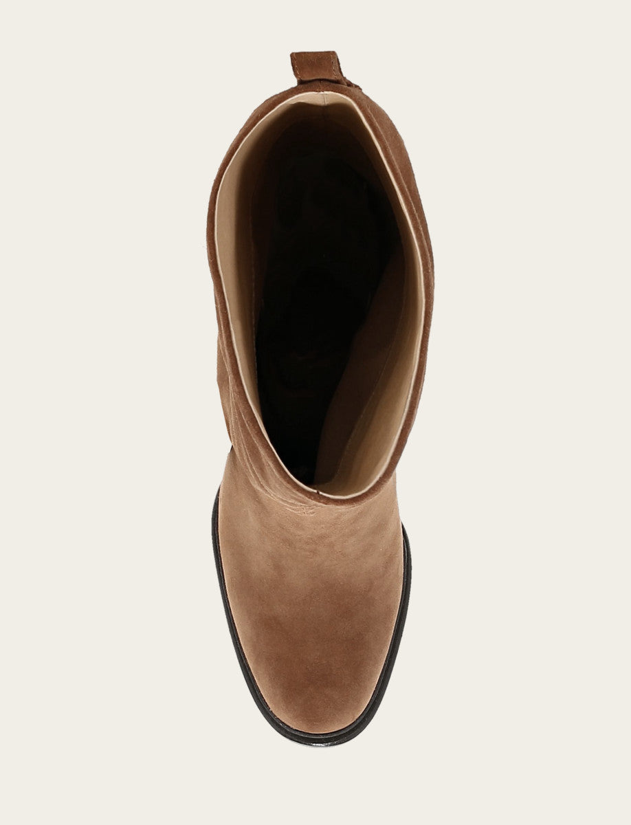 Frye Best Price | Bark Alex Softy Tall Boot