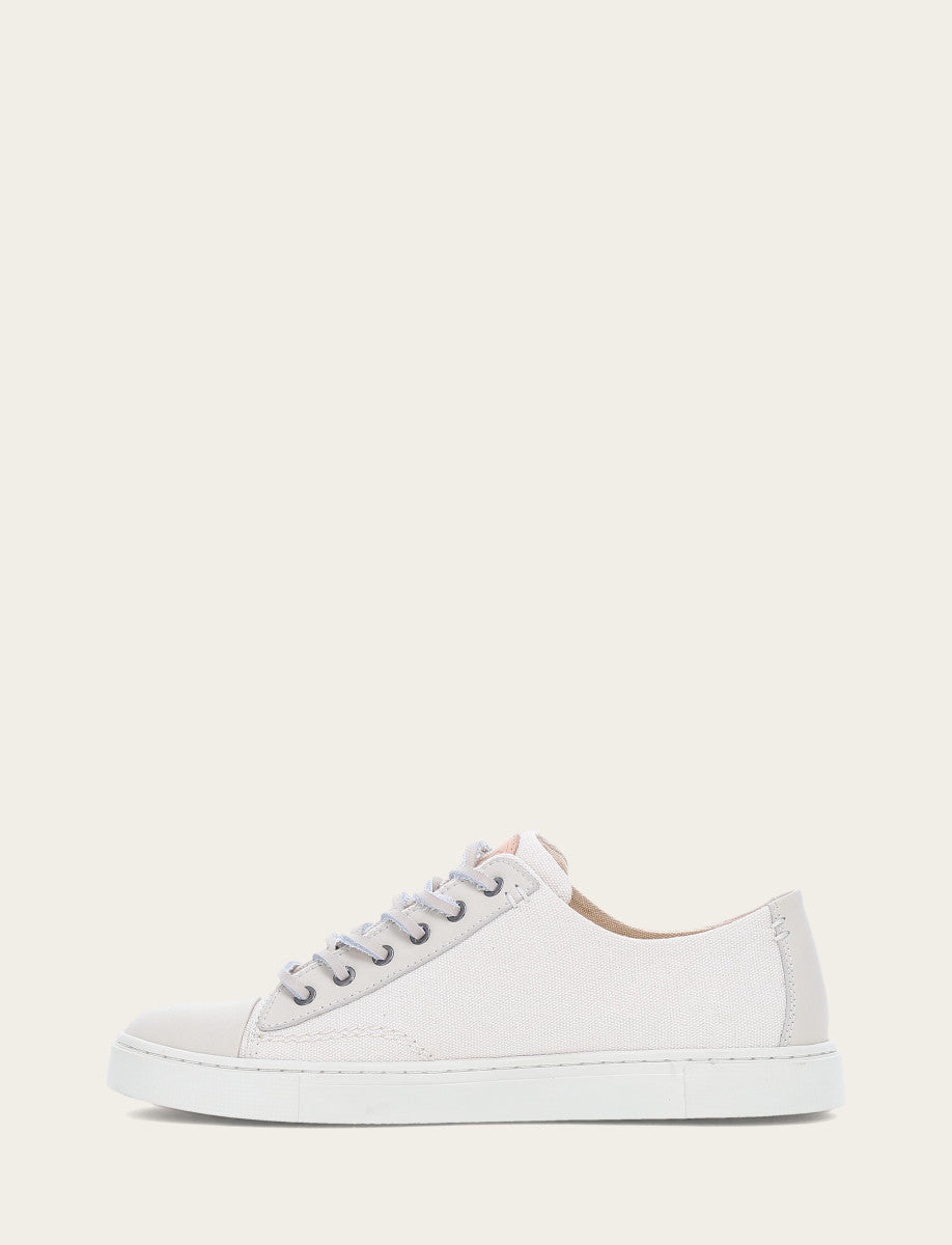 Frye Premium | Women's Ivory Ivy Canvas Low Lace Sneakers
