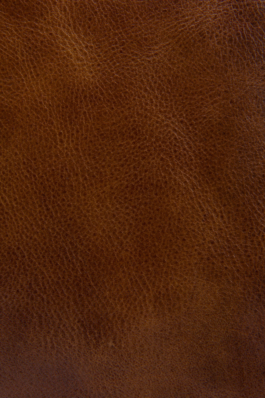 Frye Featured | Melissa Cognac Zip Crossbody