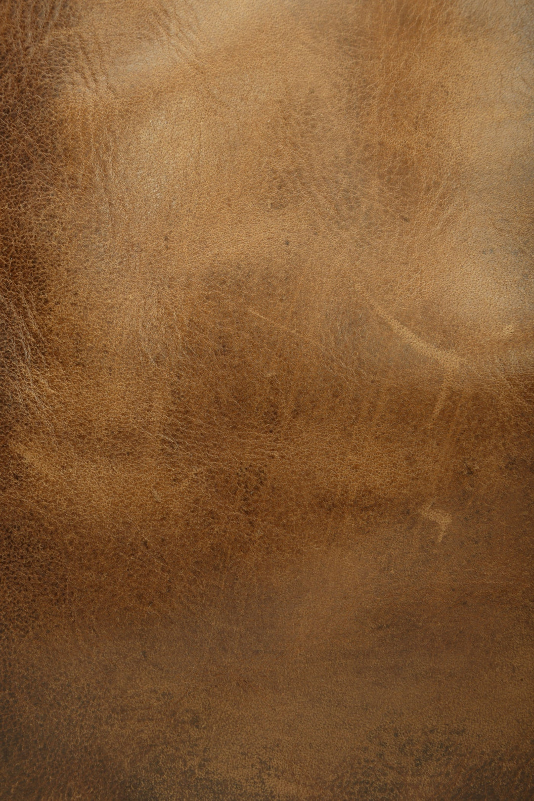 Frye Customer Favorite | Melissa Cognac Tote