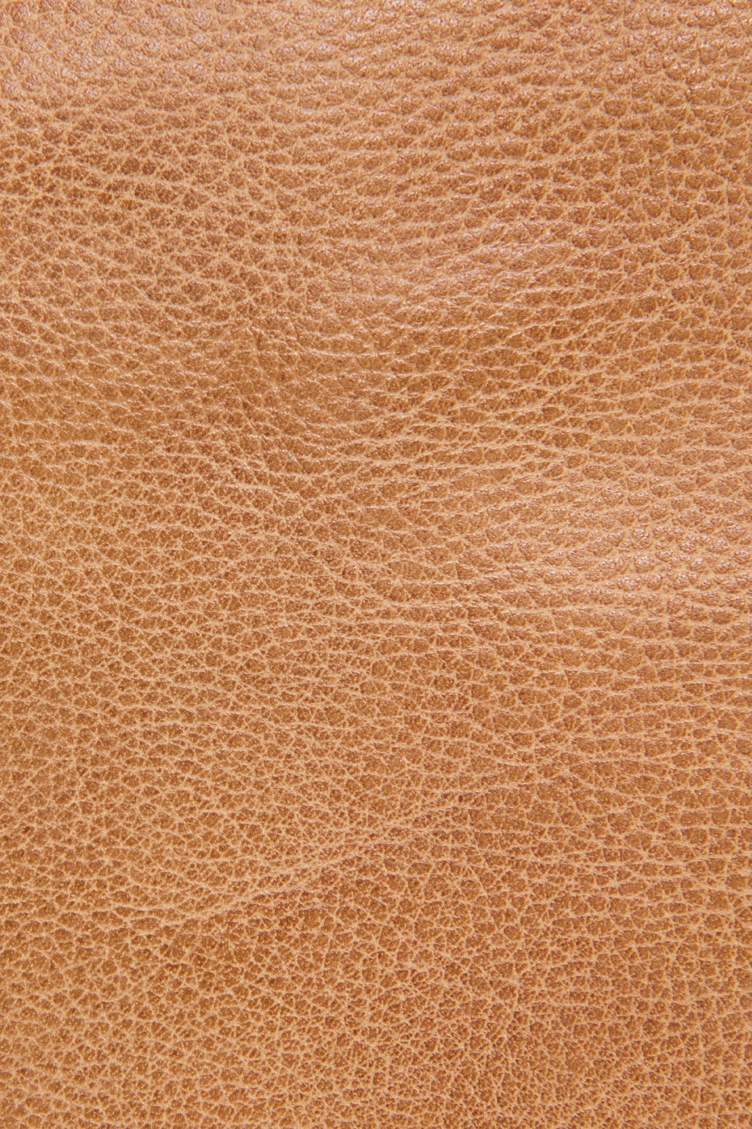Frye Premium | Nora Beige Knotted Tote