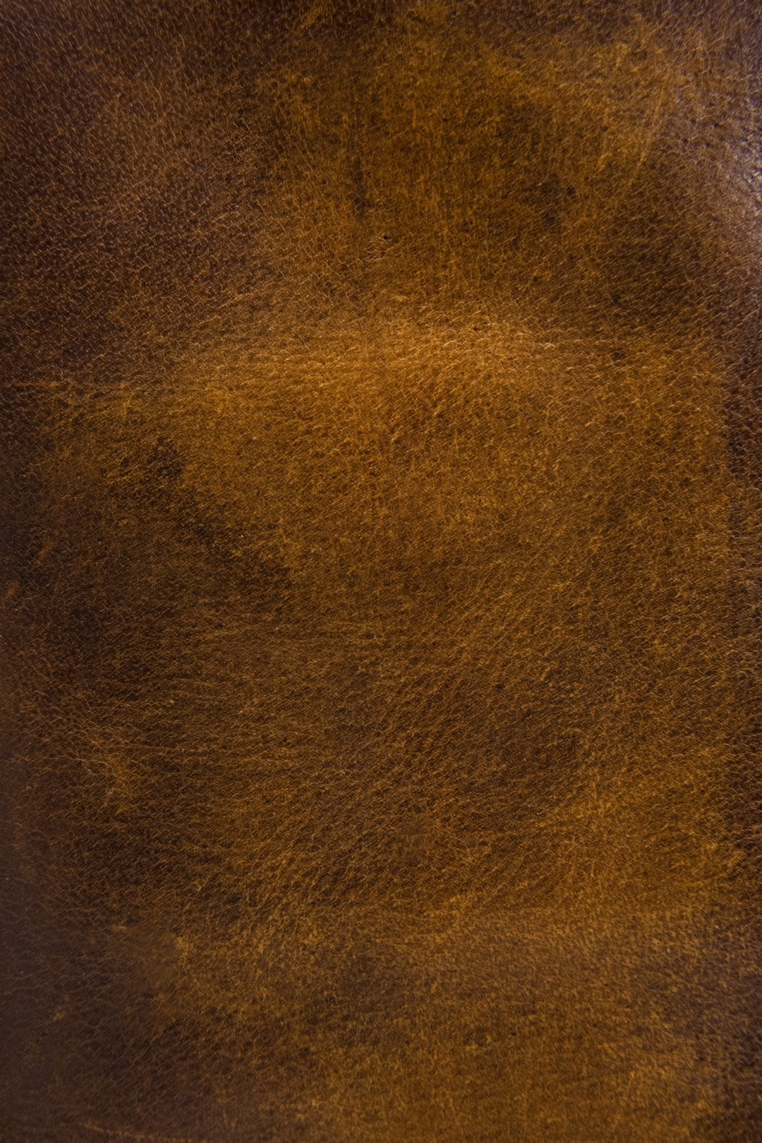Frye Latest | Melissa Dark Brown Wristlet