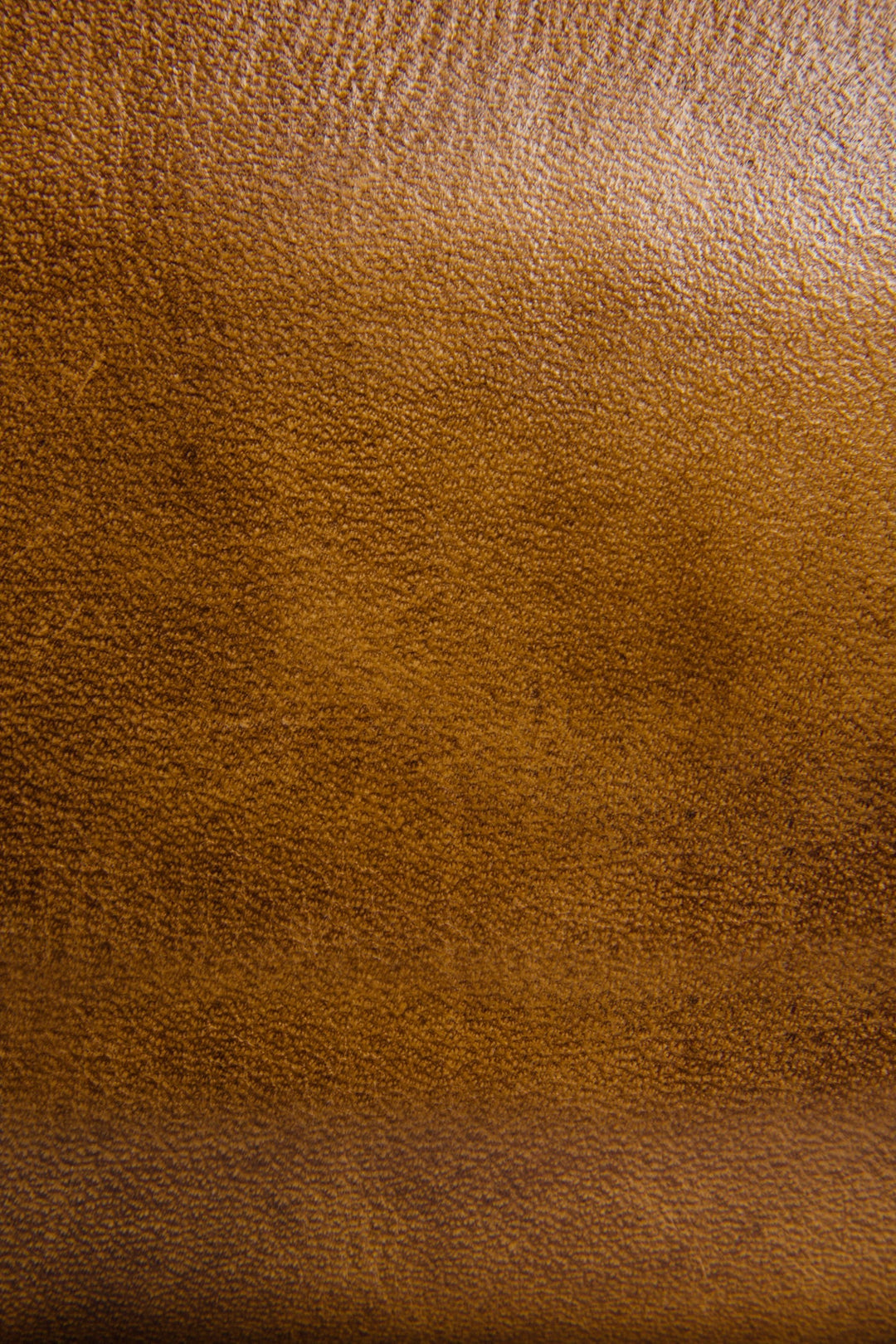 Frye Great Value | Melissa Beige Zip Wallet