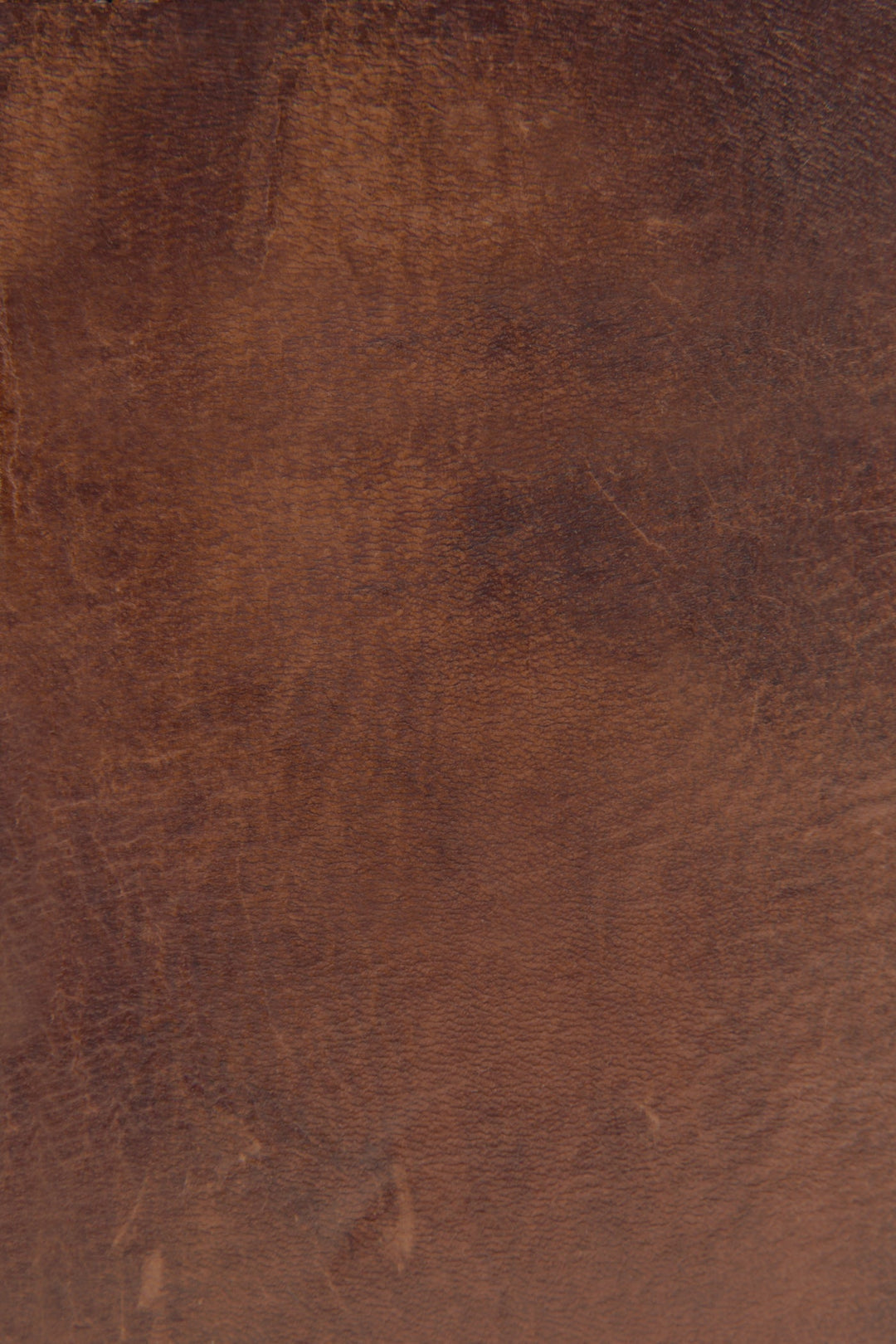 Frye Exclusive | Melissa Cognac Zip Wallet