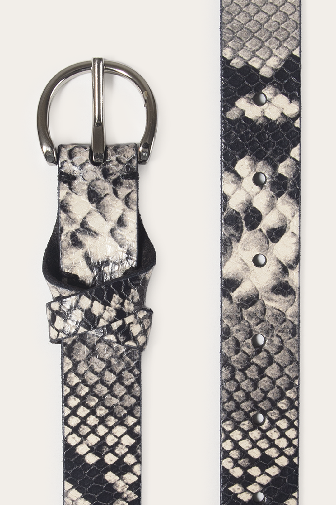 Frye Quality | Roccia 25mm Snake Belt
