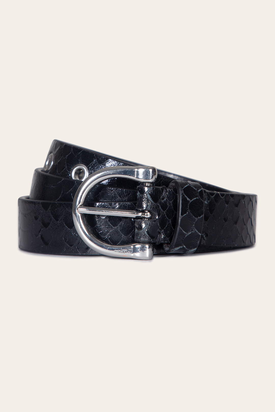 Frye Best Price | Women’s Black Snake 25mm Horseshoe Buckle Belt With Python