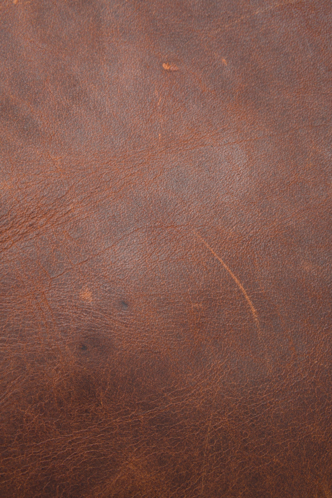 Frye Best Price | Logan Cognac Backpack
