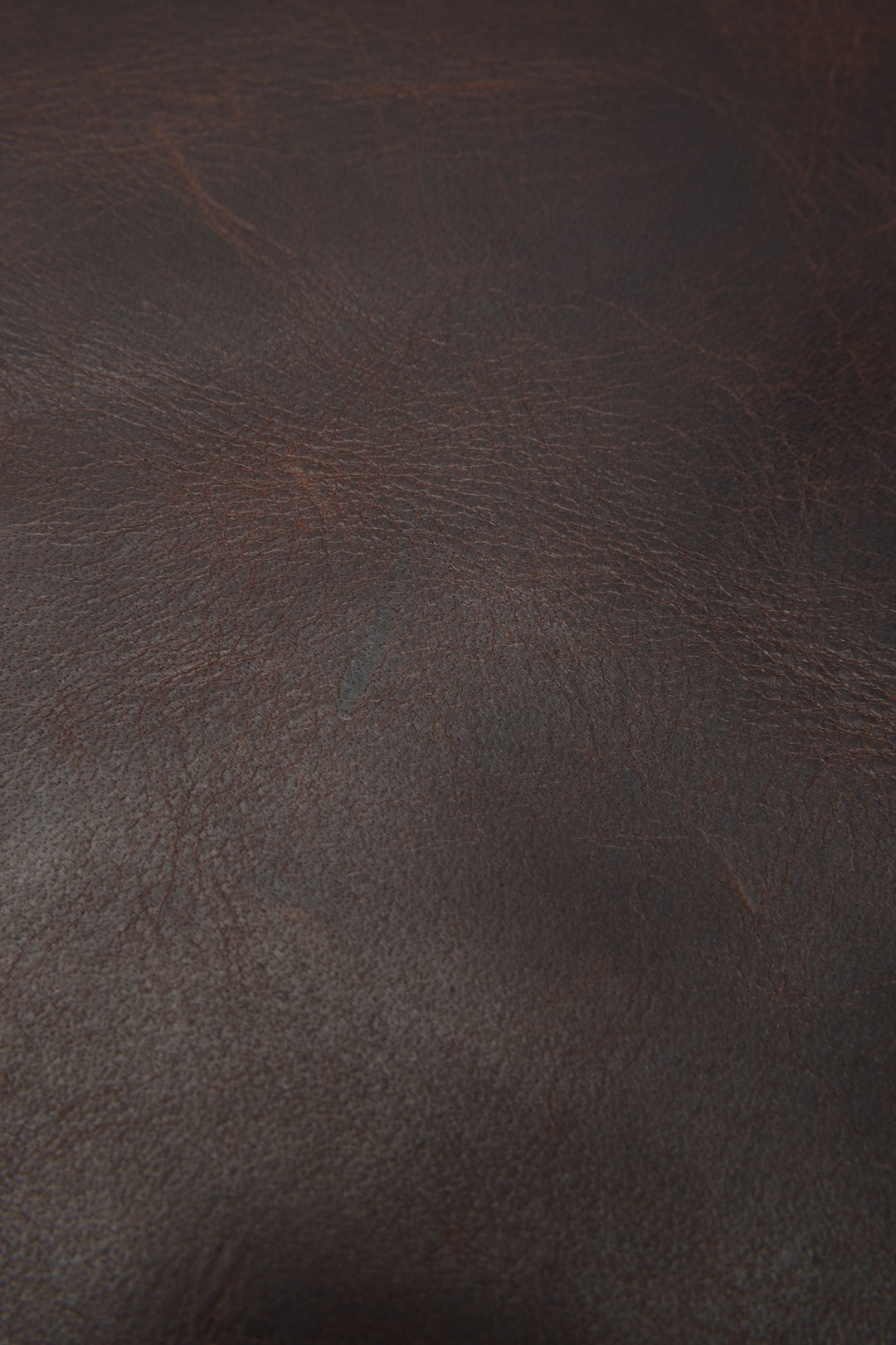 Frye Smart Buy | Logan Dark Brown Backpack