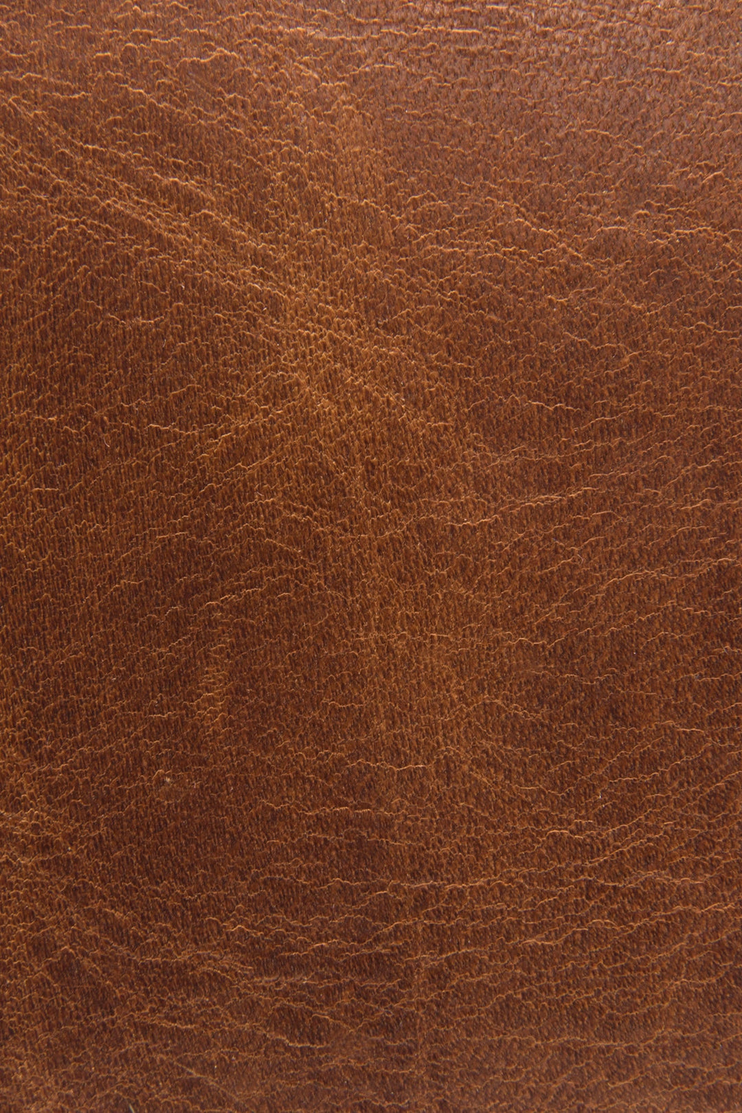 Frye Top Pick | Logan Cognac Top Handle