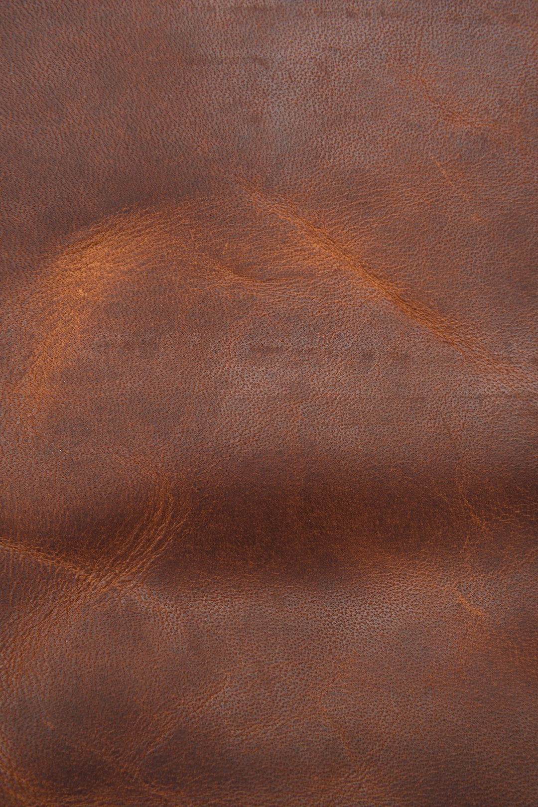 Frye Exclusive | Logan Messenger