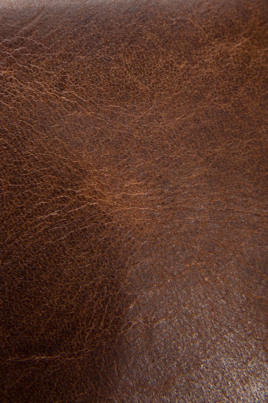 Frye Best Seller | Logan Cognac Billfold