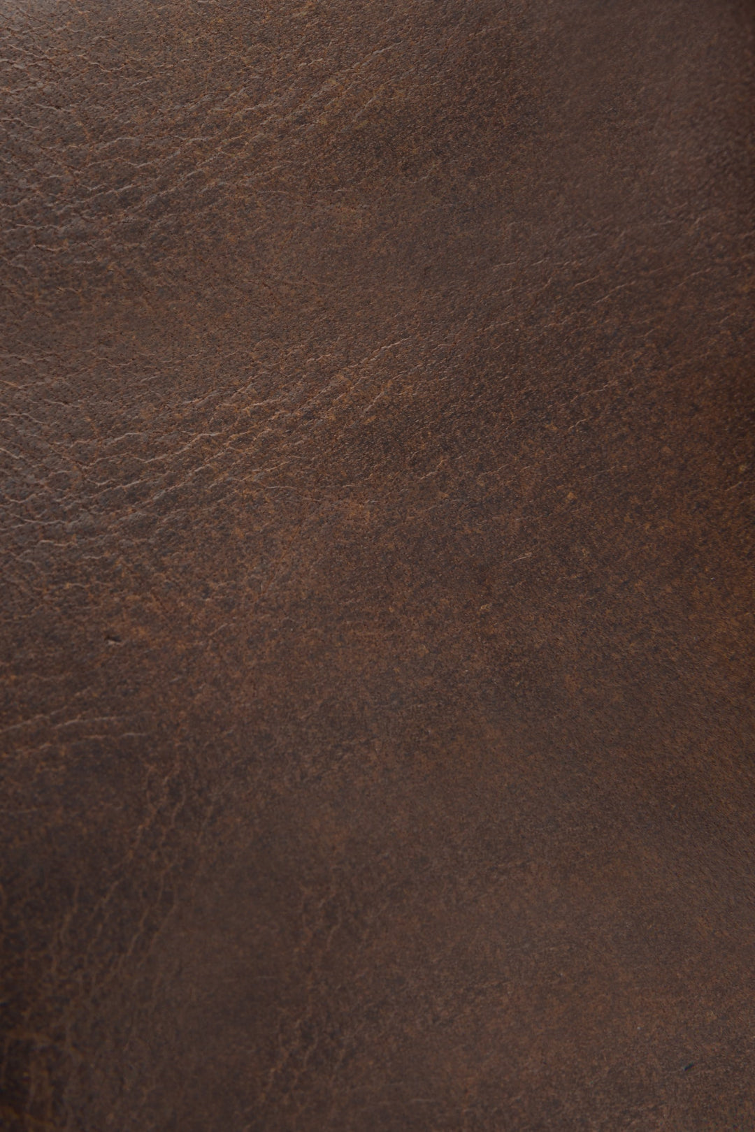Frye Best Seller | Logan Dark Brown Billfold