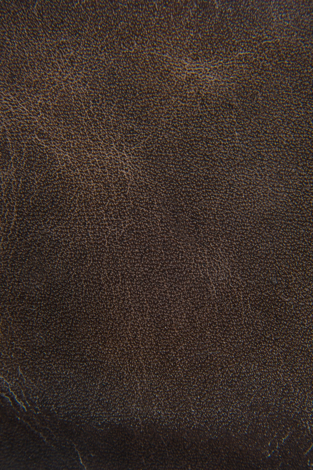 Frye Best Seller | Logan Slate Billfold